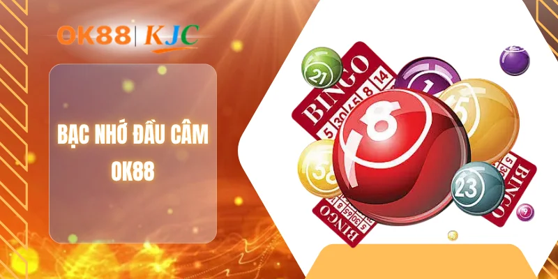 BẠC NHỚ ĐẦU CÂM OK88